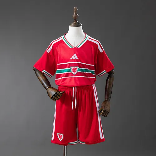 FIFA Wales Kit