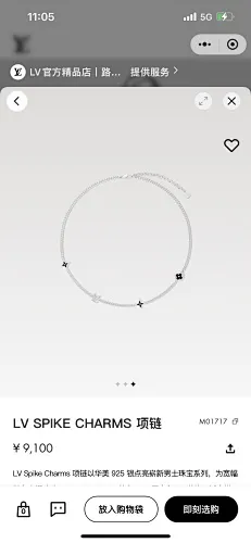 Louis Vuitton Necklace
