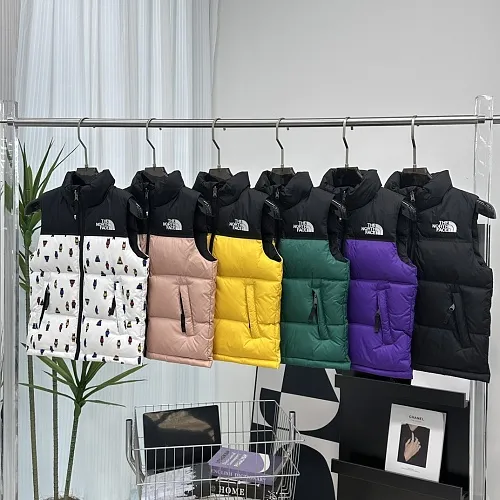 The North Face Vest