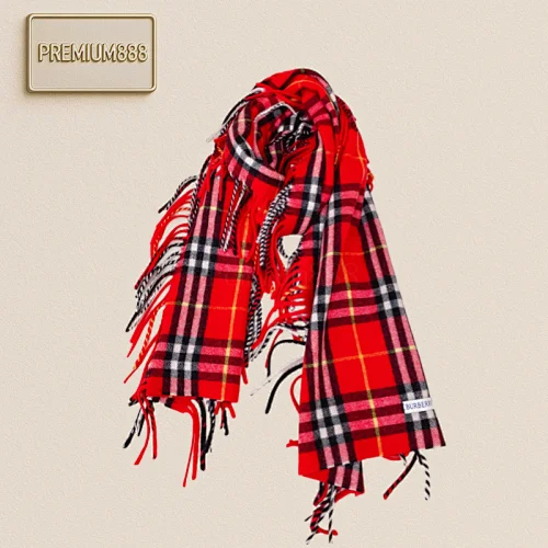 Burberry Scarf